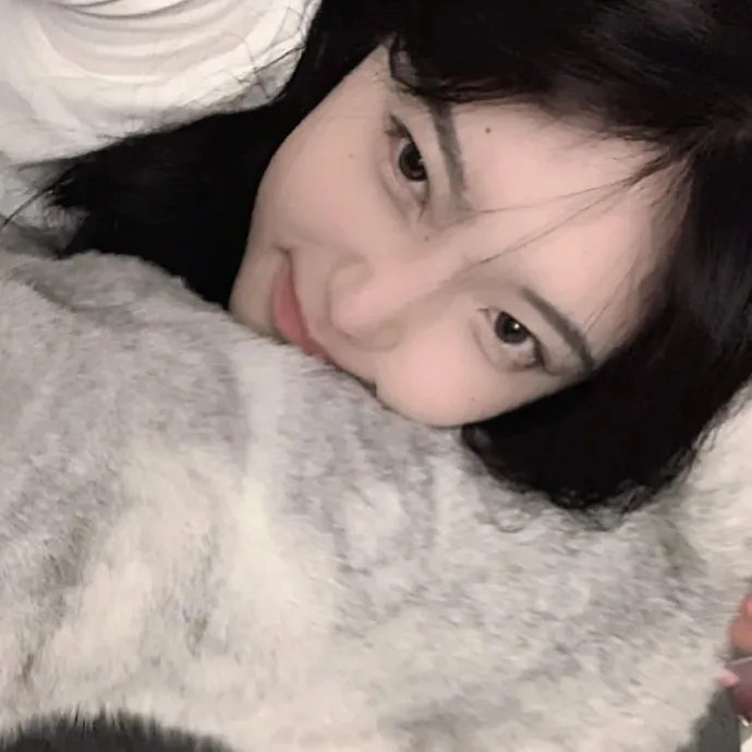 相棒第23季